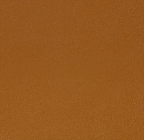 Tempesta Acacia